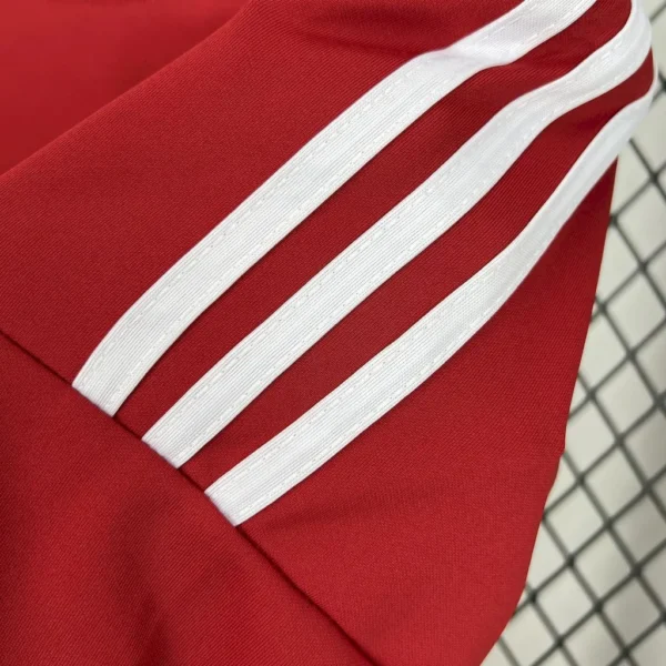Camiseta local del Stade Brestois 2024/25 - Image 9