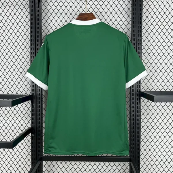 Camiseta local del Palmeiras 2025/26 - Image 6