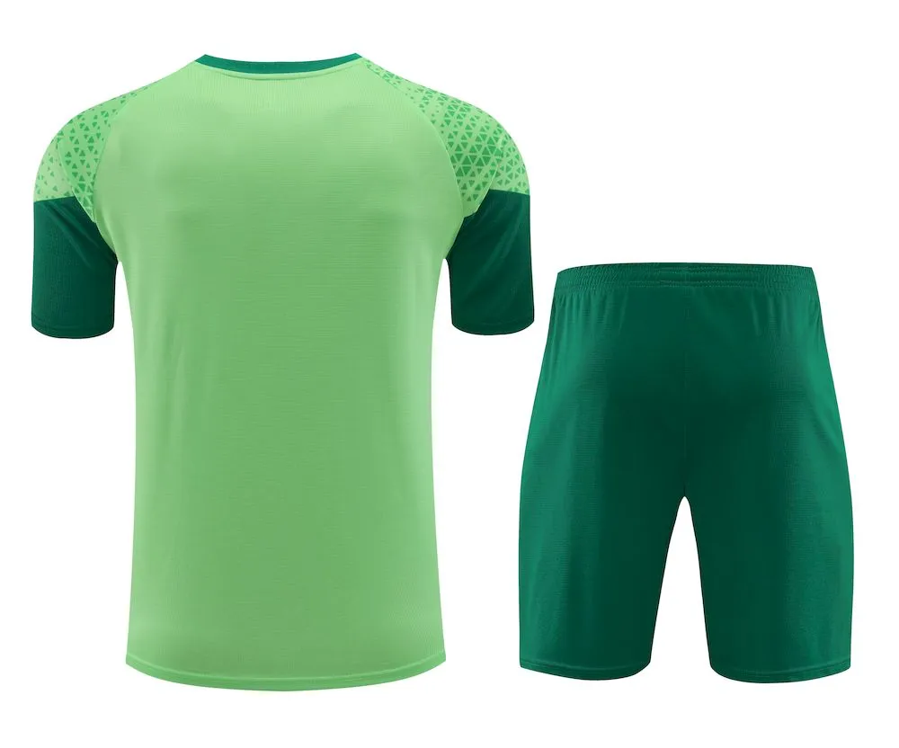 Camiseta pantalon corto Palmeiras 2024/25 unisex 41888 - Image 3