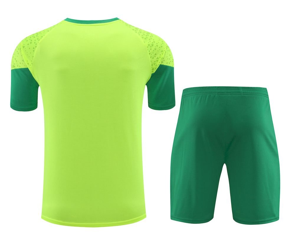 Camiseta pantalon corto entrenamiento Palmeiras 2024/25 adulto 418 - Image 2