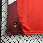 Camiseta local de Suiza para la Eurocopa 2024/25 1 - Image 4