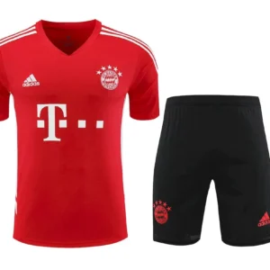 Camiseta de entrenamiento pantalon corto para adulto del Bayern Munich 2023/24 411