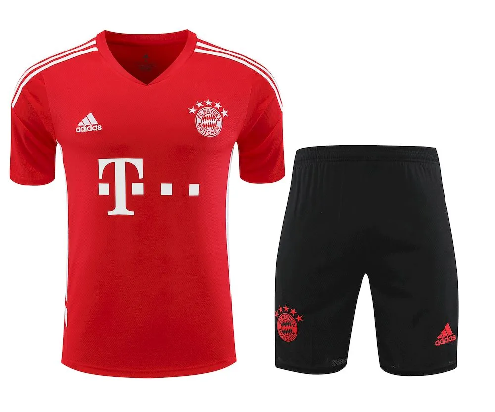 Camiseta de entrenamiento pantalon corto para adulto del Bayern Munich 2023/24 411