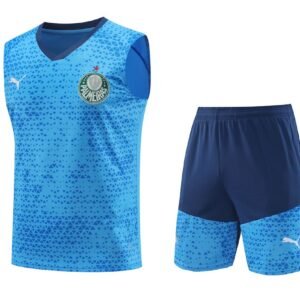 Camiseta de tirantes short unisex Palmeiras 2024/25 4188