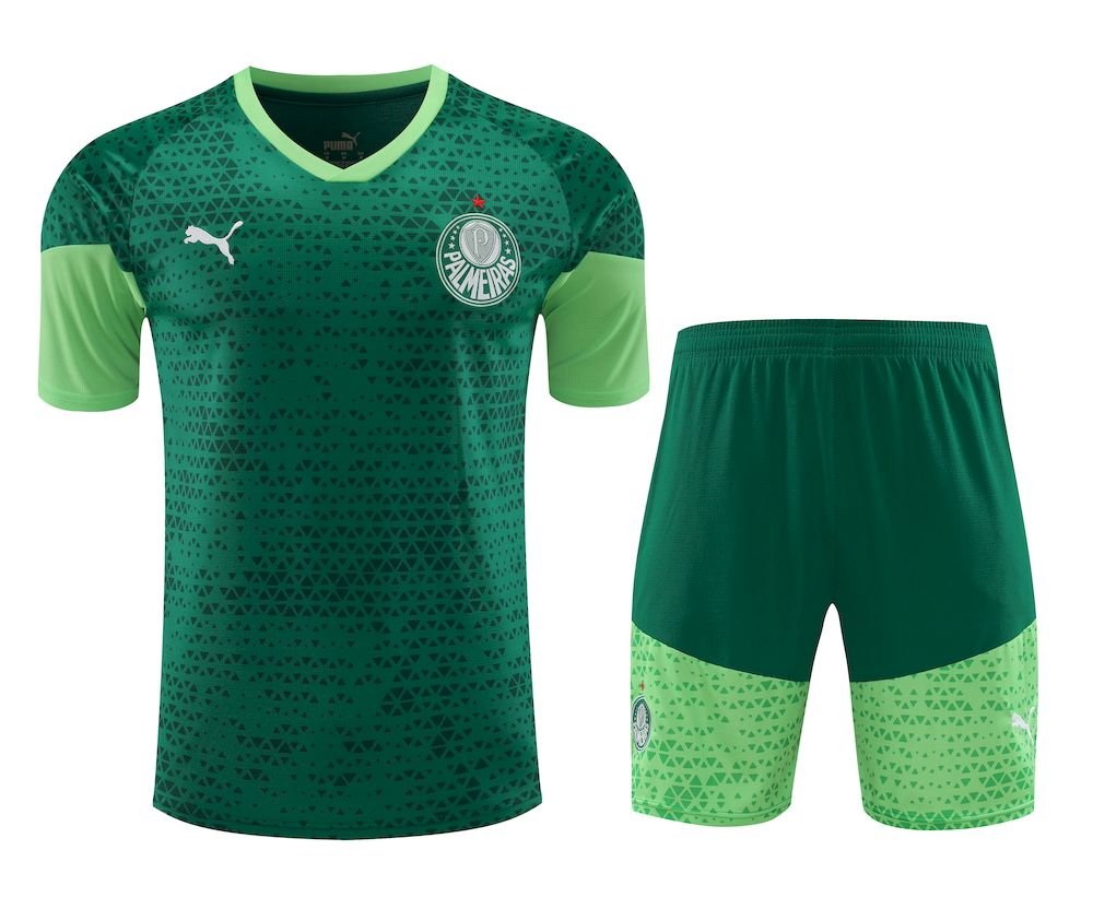Camiseta pantalon corto Palmeiras 2024/25 unisex 4188
