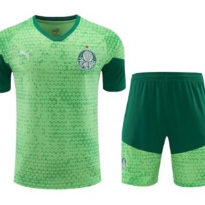 Camiseta pantalon corto Palmeiras 2024/25 unisex 41888