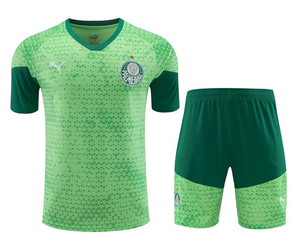 Camiseta pantalon corto Palmeiras 2024/25 unisex 41888