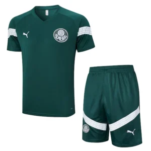 Camiseta pantalon corto entrenamiento Palmeiras 2023/24 adulto 815