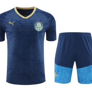 Camiseta pantalon corto entrenamiento Palmeiras 2024/25 adulto 410