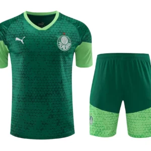 Camiseta pantalon corto entrenamiento Palmeiras 2024/25 adulto 417