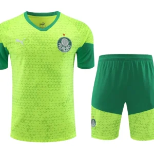Camiseta pantalon corto entrenamiento Palmeiras 2024/25 adulto 418