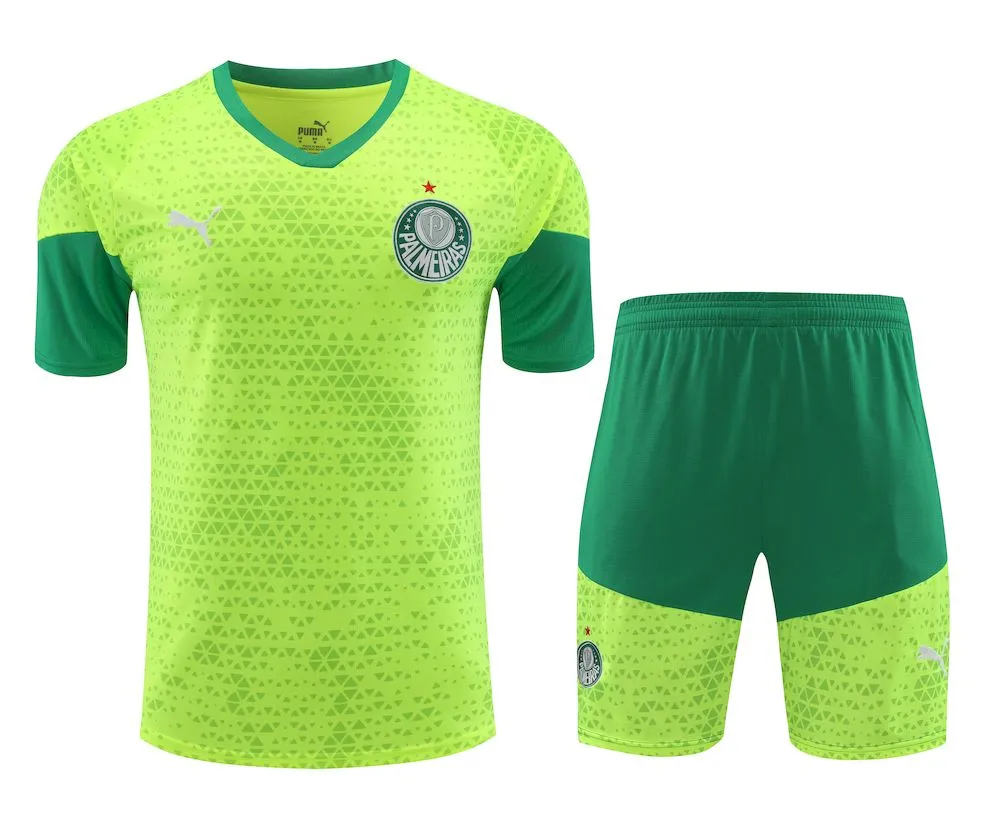 Camiseta pantalon corto entrenamiento Palmeiras 2024/25 adulto 418