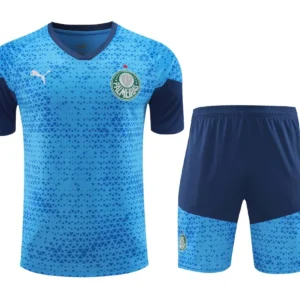 Camiseta pantalon corto entrenamiento Palmeiras 2024/25 adulto 419